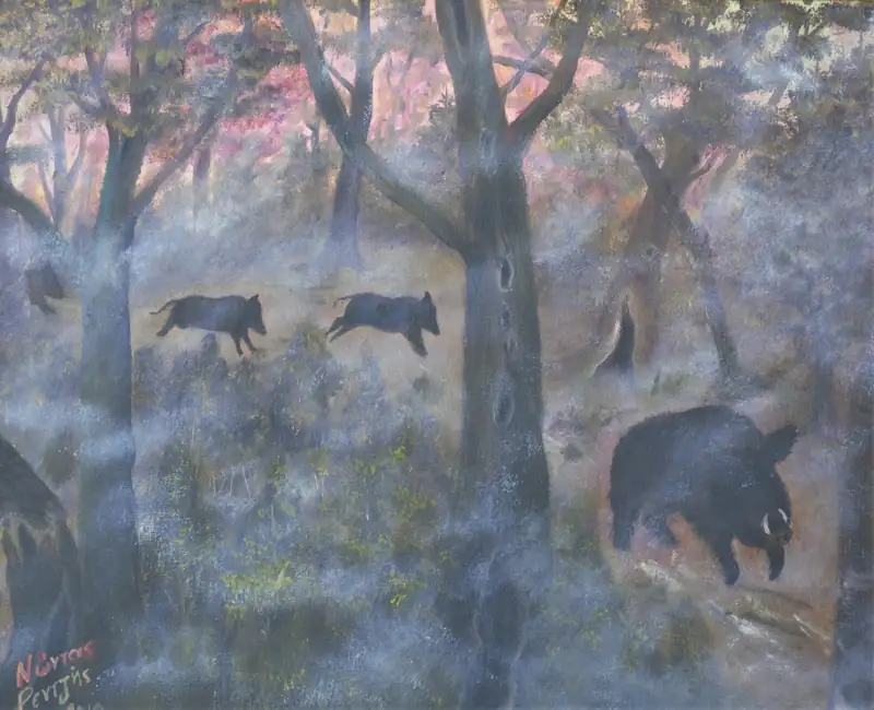 Κατηγορία 1