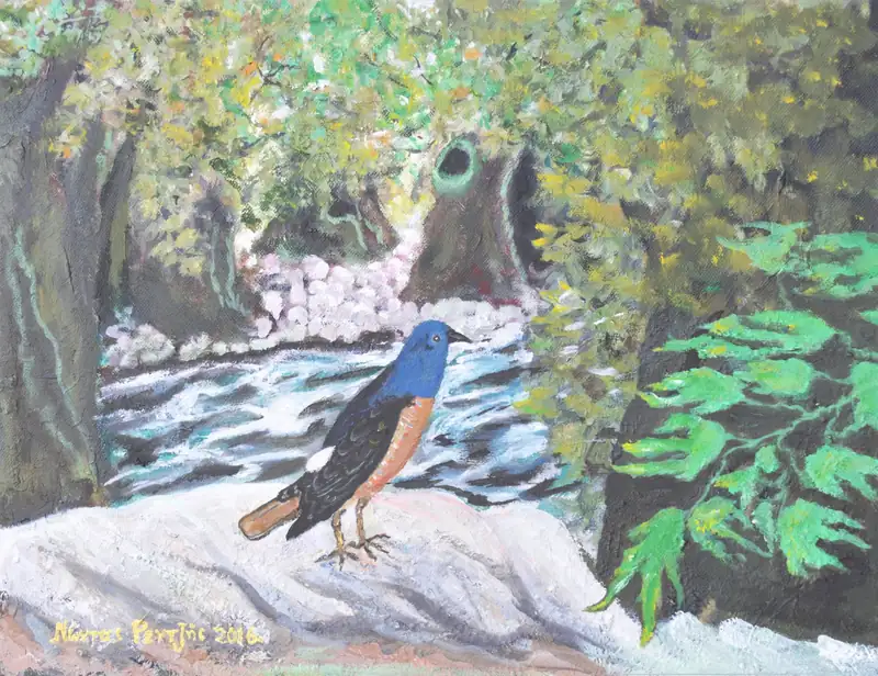 Πετροκότσυφας