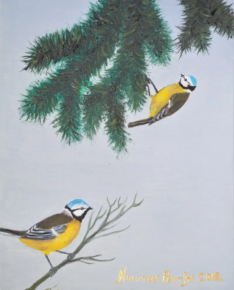 Γαλαζοπαπαδίτσες