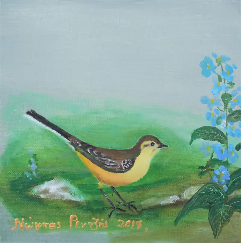 Κιτρινοσουσουράδα