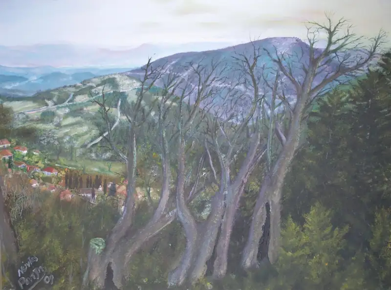 Το χωριό μου από ψιλά