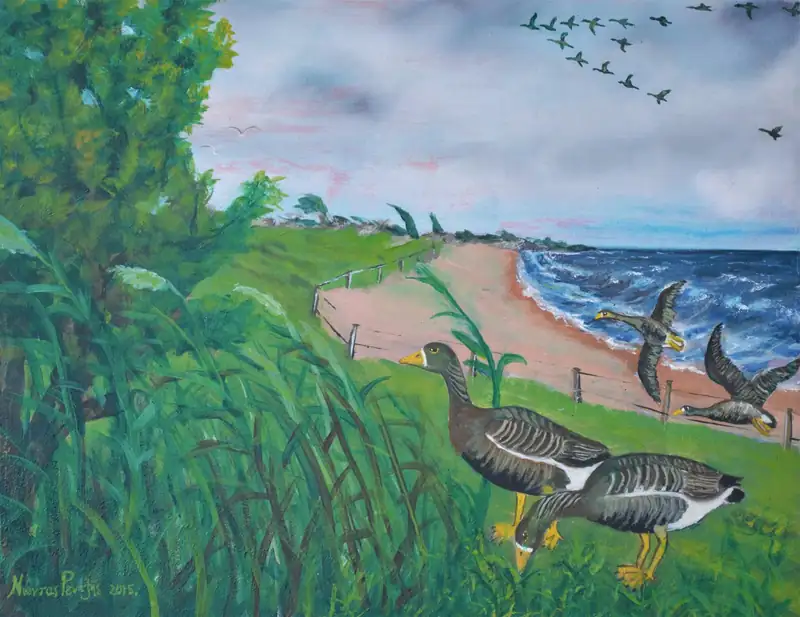 Αγριόχηνες