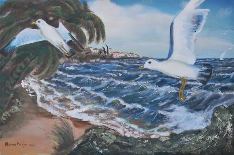 Γλάροι στην στεριά