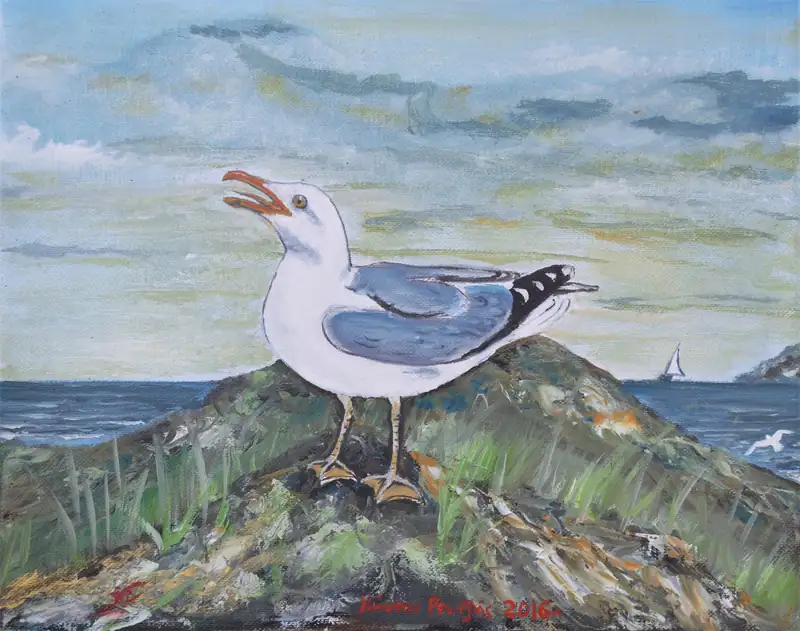 Γλάρος σε αναμονή