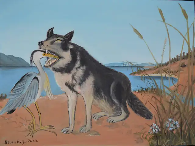 Λύκος και ερωδιός