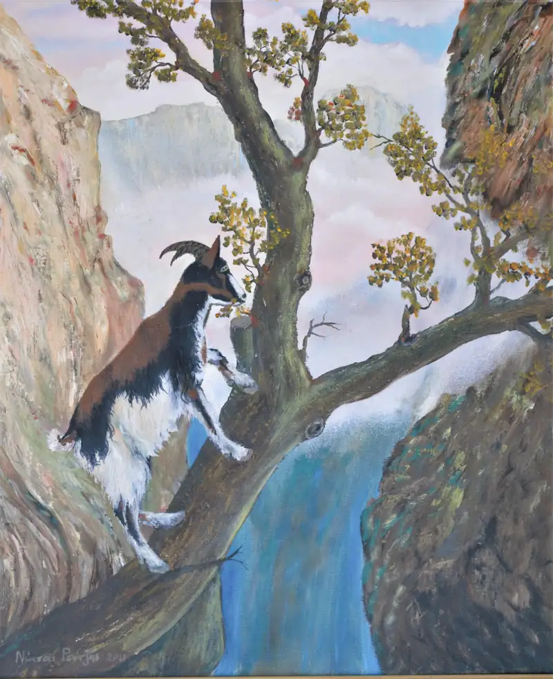 Επικίνδυνη αναρρίχηση